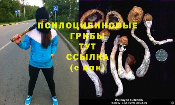 прущие крисы Абаза