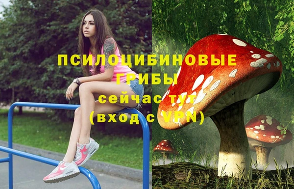 эйфоретик Абинск