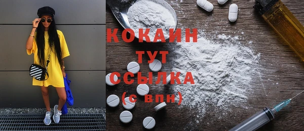 гашик Осташков