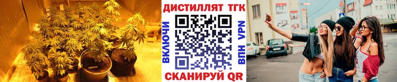 Дистиллят ТГК Wax  продажа наркотиков  Тюкалинск 